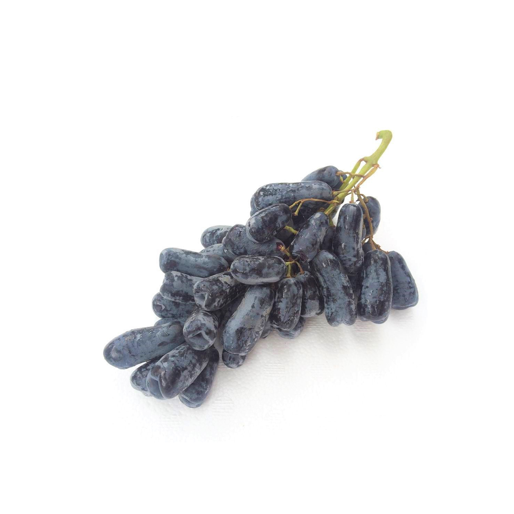 ANGZGRO Anggur Sapphire Australia 1 KG